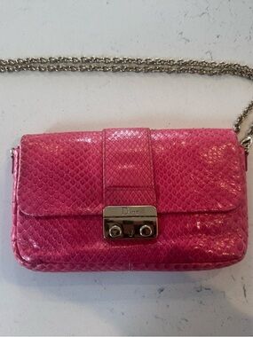 Christian Dior Dior Addict Hot Pink Exotic Mini Bag/WOC Gold Hardware with COA